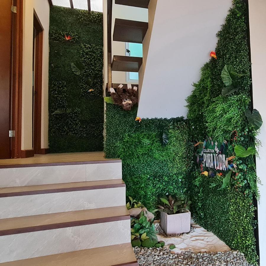 Cozy Private Apartment, Mirador Escazu -Great View- المظهر الخارجي الصورة